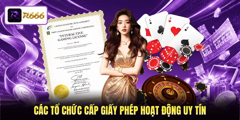 Các tổ chức cấp giấy phép hoạt động uy tín