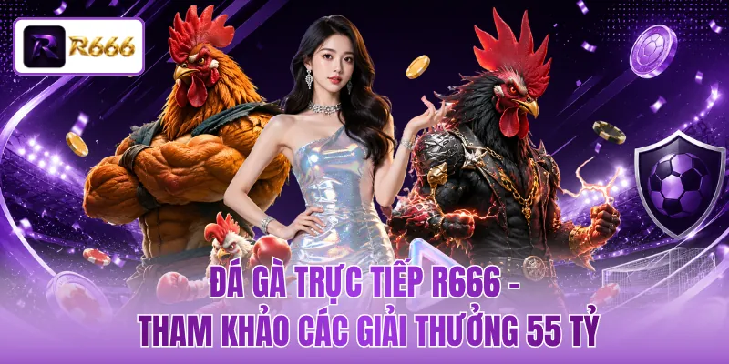 Đá Gà Trực Tiếp R666 - Tham Khảo Các Giải Thưởng 55 Tỷ