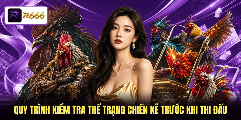 Quy trình kiểm tra thể trạng chiến kê trước khi thi đấu