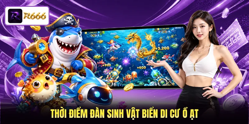 Thời điểm đàn sinh vật biển di cư ồ ạt